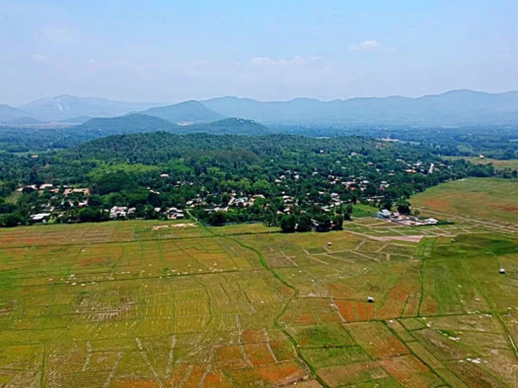 ขายที่ดิน สวนเกษตรสันทราย ตำบลหนองแหย่ง อำเภอสันทราย จังหวัดเชียงใหม่