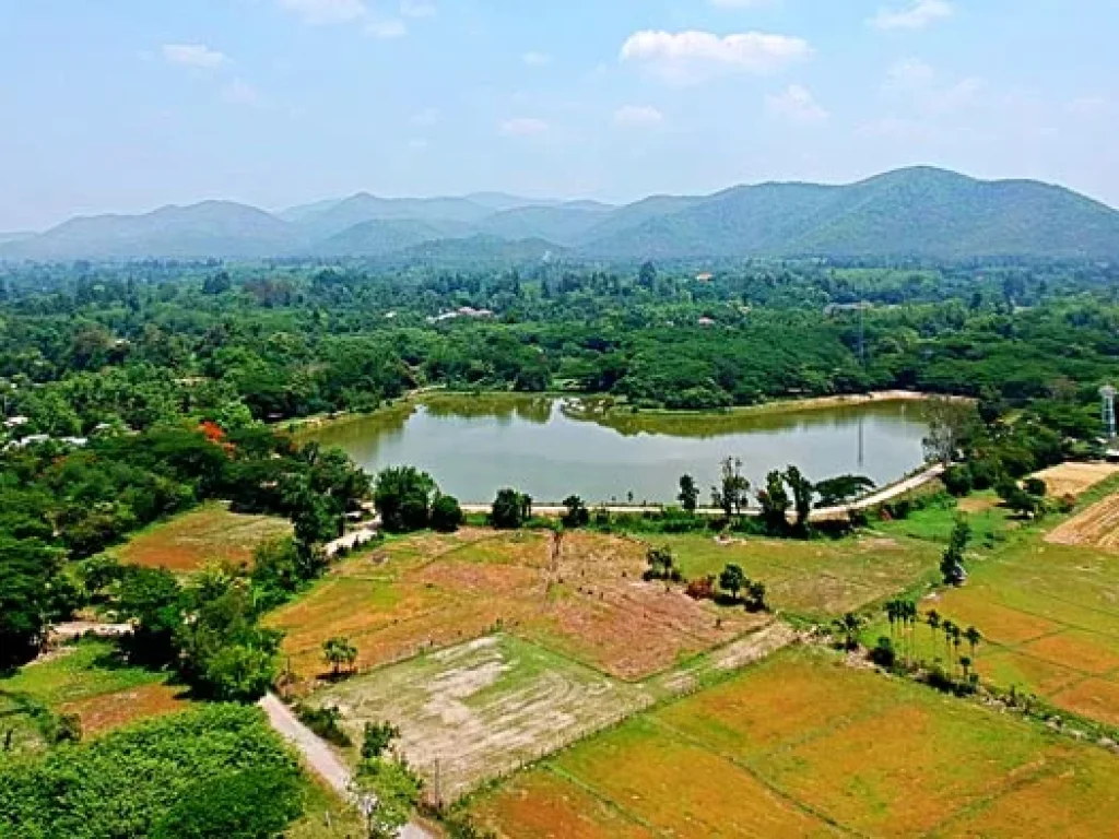 ขายที่ดิน สวนเกษตรสันทราย ตำบลหนองแหย่ง อำเภอสันทราย จังหวัดเชียงใหม่