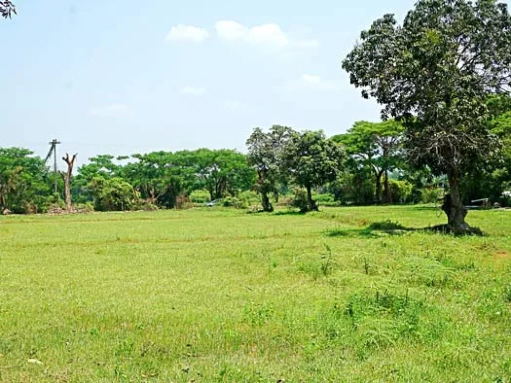 ขายที่ดิน สวนเกษตรสันทราย ตำบลหนองแหย่ง อำเภอสันทราย จังหวัดเชียงใหม่