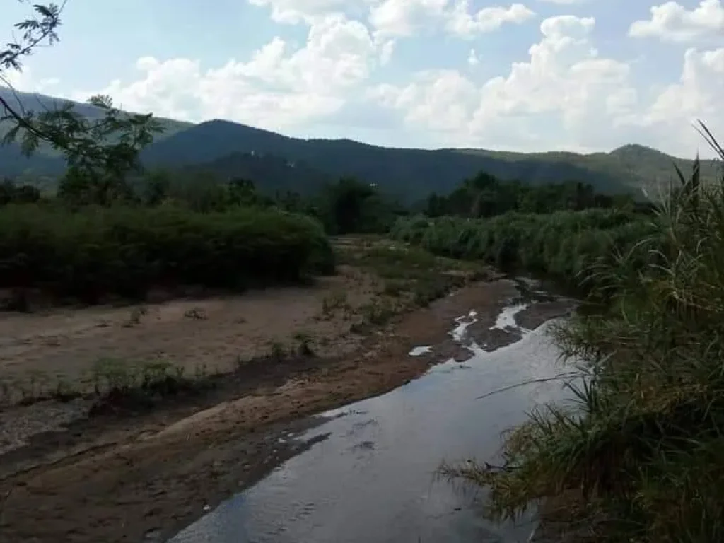 ขายที่ดินบ้านหลวงจอมทองติดเขาติดน้ำ ราคาถูก