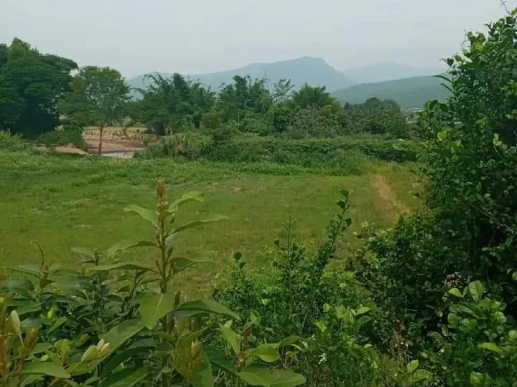 ขายที่ดินบ้านหลวงจอมทองติดเขาติดน้ำ ราคาถูก