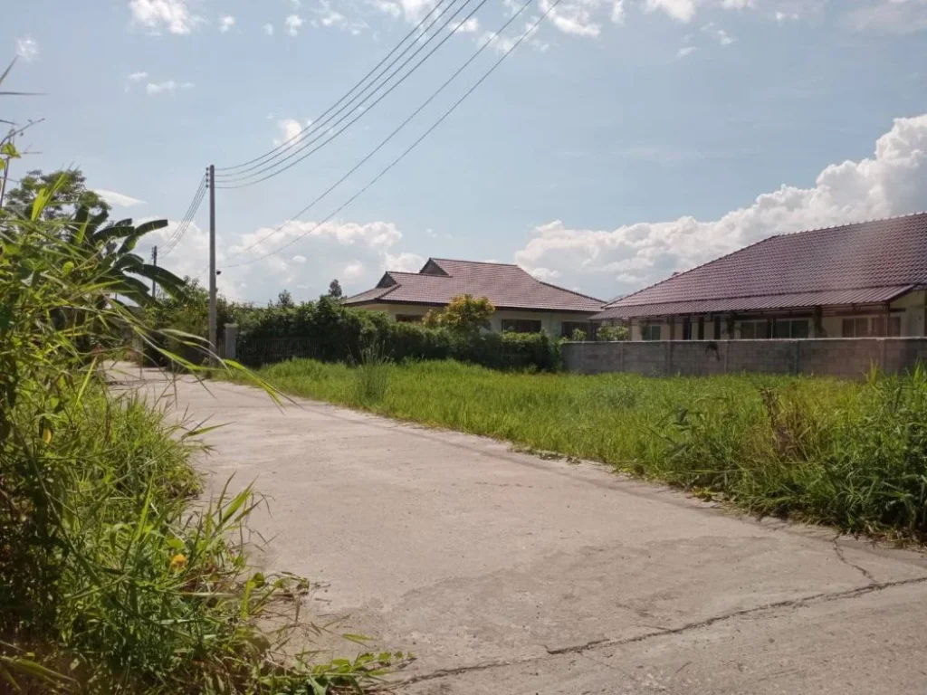 ขายที่ดินติดถนนสองด้านท่าวังตาล สารภี ราคาถูก