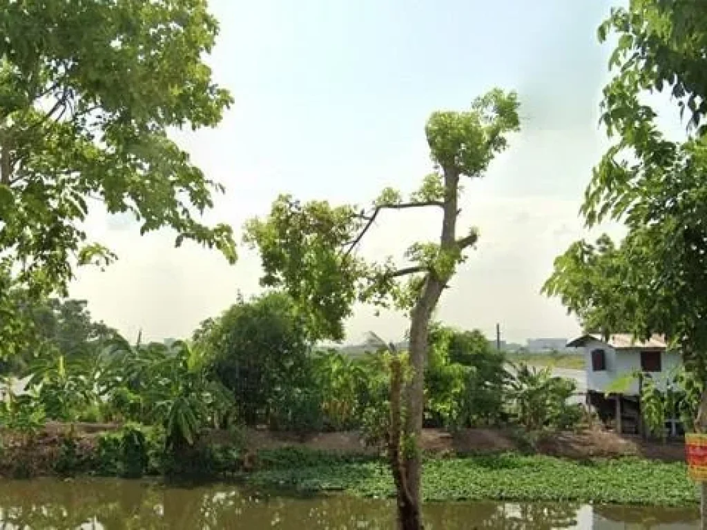 Land For Sale ที่ดิน รังสิต-บางพูด ปทุมธานี ใกล้เวิร์คพอยท์