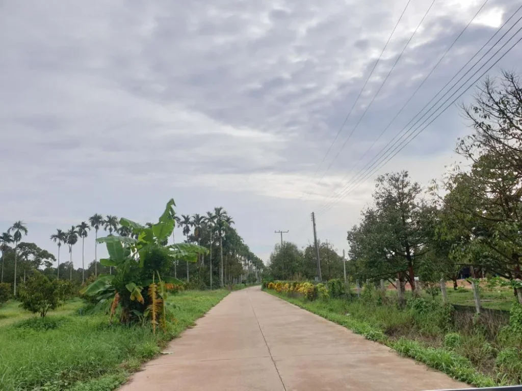 ขายสวนทุเรียนให้ผลผลิต จันทบุรี