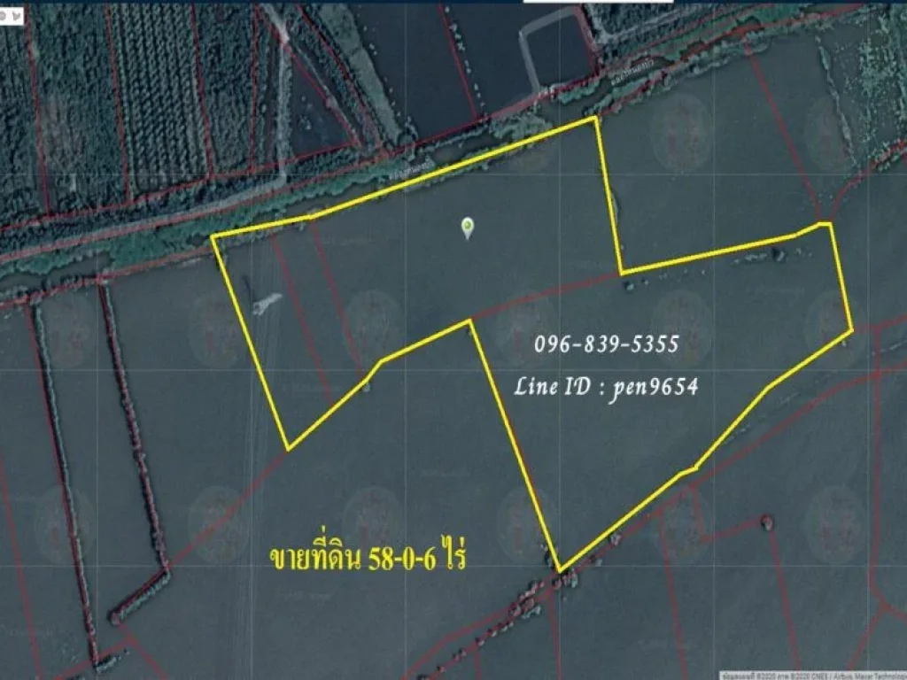 ขายที่ดินเป็นแปลงนาติดคลองหนองบัว อ เสนา จ อยุธยา 58 ไร่กว่า