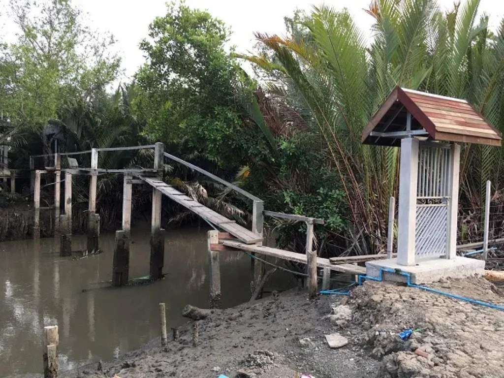 ขายที่ดินติดคลองใหญ่ ใกล้ถนนพระราม 2 แม่กลอง สมุทรสงคราม เจ้าของขายเอง