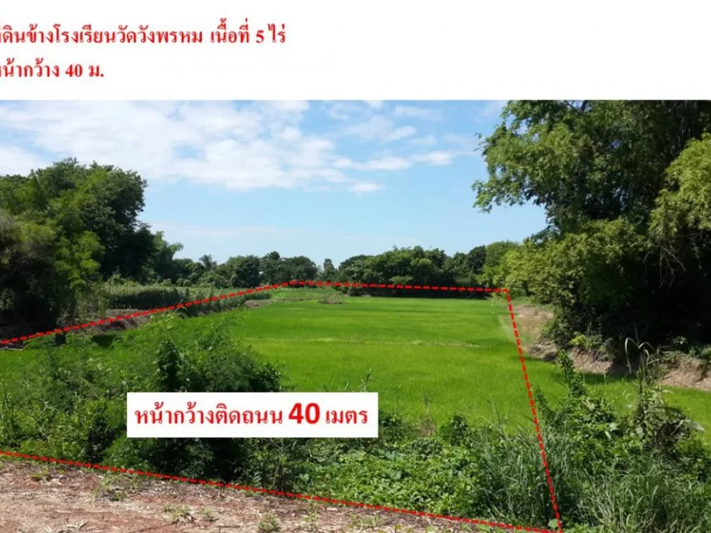 ที่ดินทำการเกษตร บ้านวังพรม อวังทอง ขนาด 5 ไร่