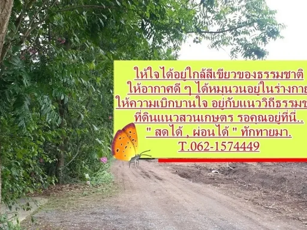 กลับสู่วิถีธรรมชาติที่ดินแนวสวนเกษตร คลอง 10 พร้อมให้จองแล้ว T 062-1574449