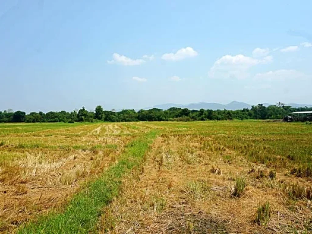 ขายที่ดิน ตำบลเมืองเล็น อำเภอสันทราย เหมาะทำเป็นที่ดินจัดสรรขนาดย่อย