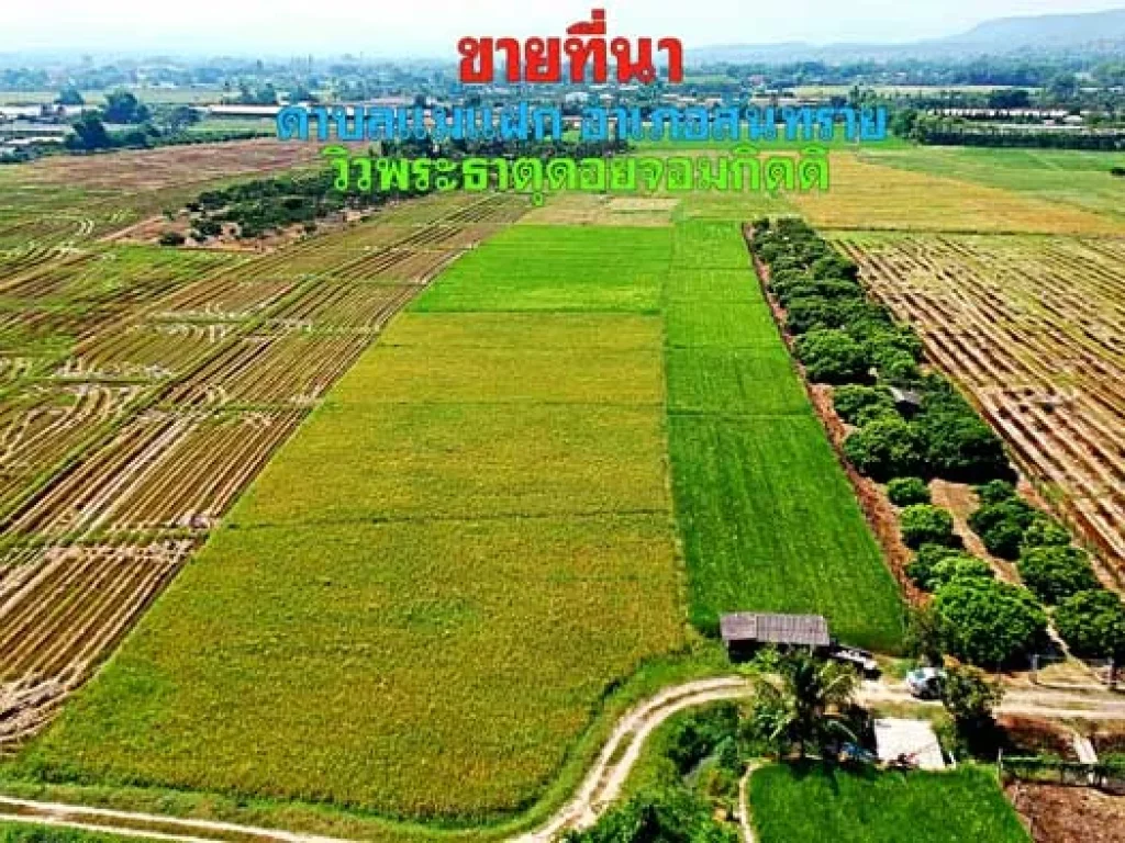 ขายที่นา ตำบลแม่แฝก อำเภอสันทราย จังหวัดเชียงใหม่ วิวพระธาตุดอยจอมกิตติ