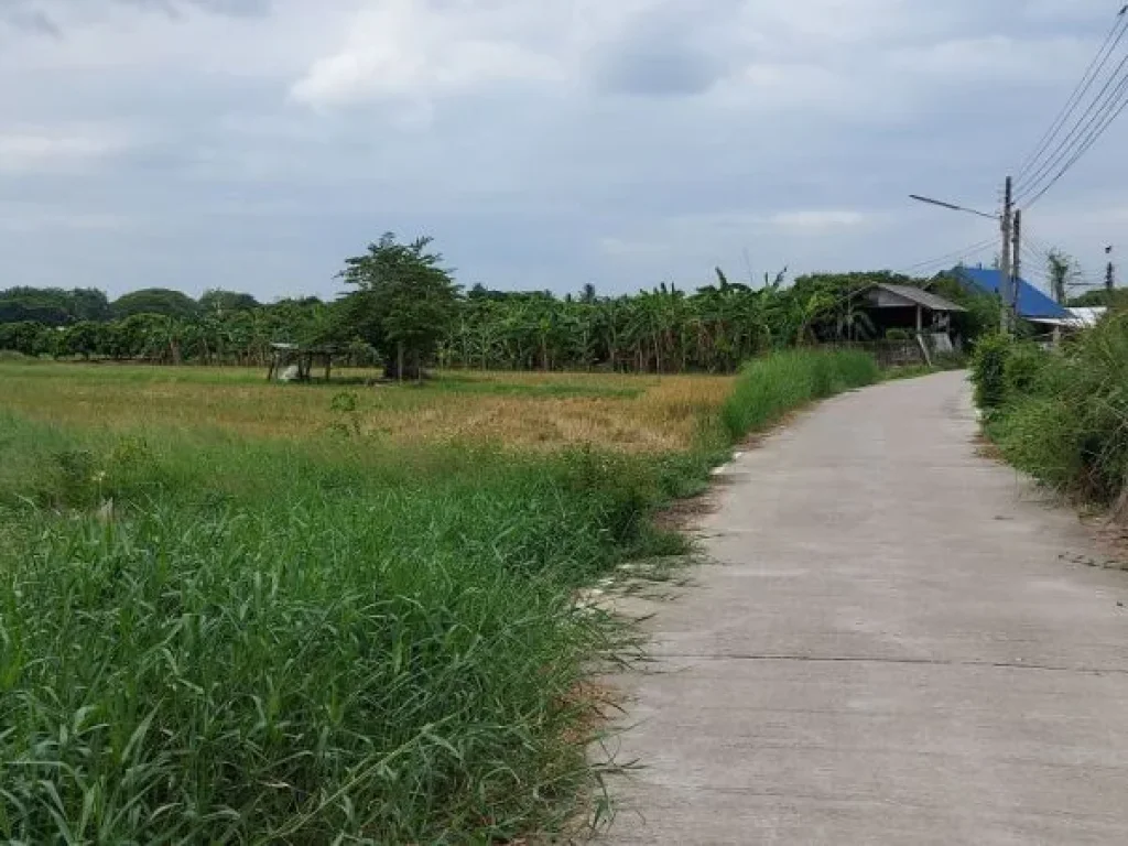 ขายที่ดิน แปลงสวย 6-3-73 ไร่ ทำเลดีมาก เป็นที่นา ด้านหลังติดลำลาง มีบ่อบาดาล ตำบล ทุ่งต้อม อำเภอสันป่าตอง เชียงใหม่