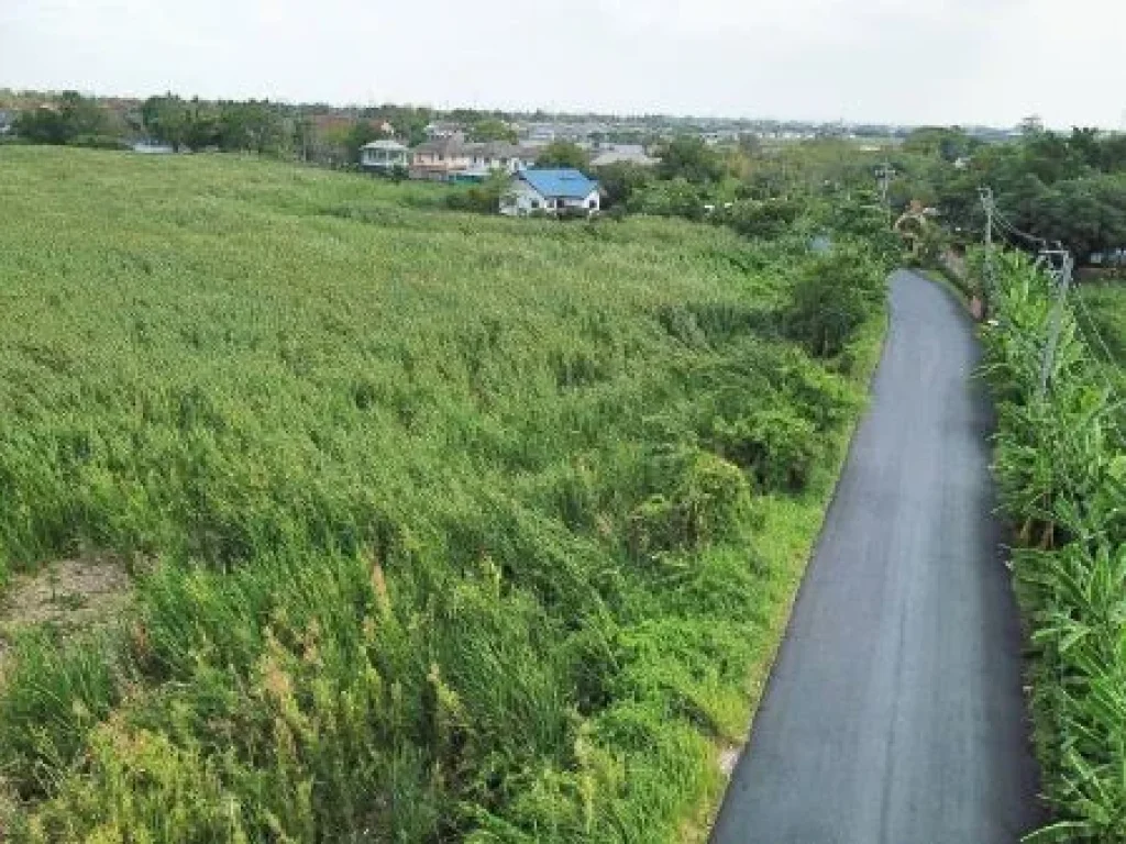 ขาย ที่ดิน ถูกที่สุดในย่านนี้ บางบอน5 แยก10 40ไร่ ห่างถนนบางบอน5 แค่100เมตร