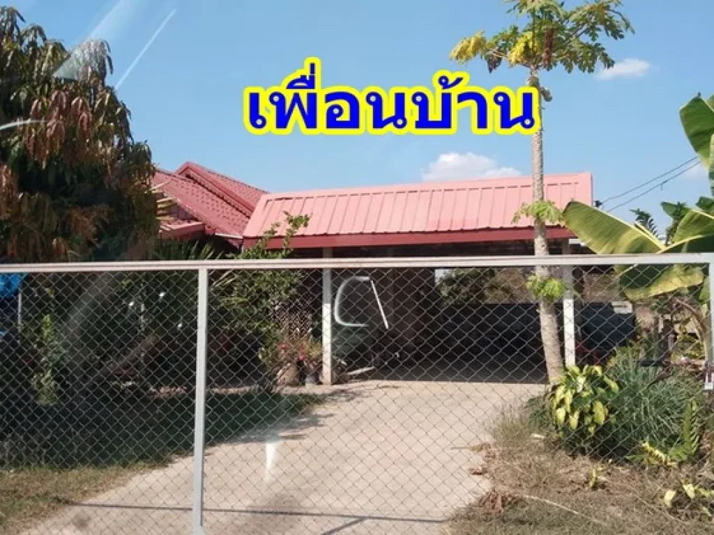 ที่ดินเปล่า 100 ตรว บ้านโนนแต้ ตสำราญ เมือง ขอนแก่น ใกล้ มข โลตัส ดูโฮม