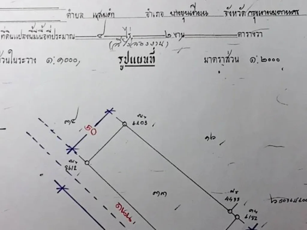 ที่ดินเปล่า ทุ่งครุ