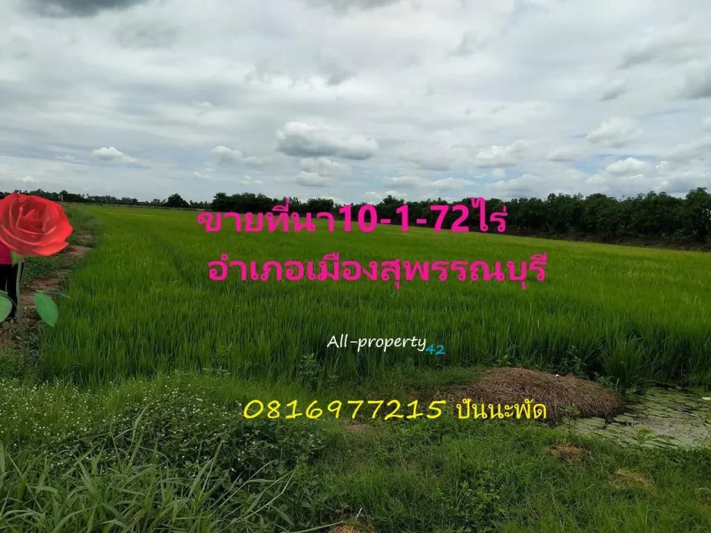 ขายที่นา10-1-72ไร่ๆละ 350000 บาท รวมโอน ติดถนนดินกรวด มีคลอง เมืองสุพรรณ