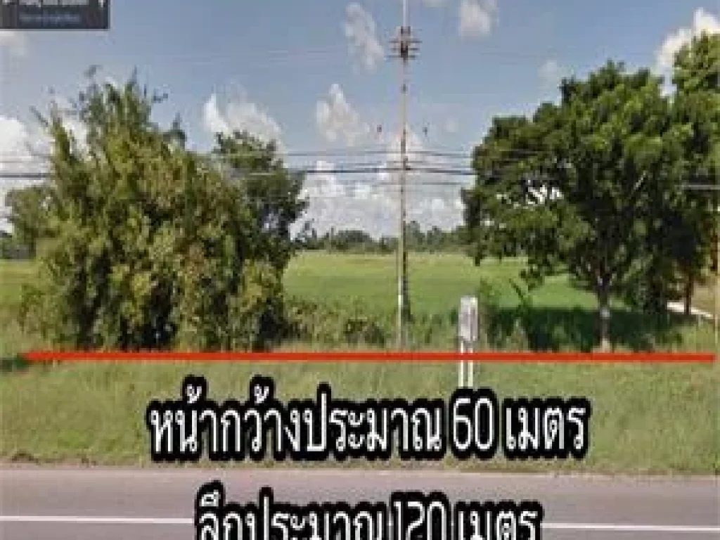 ขาย ที่ดินเปล่า 5 ไร่ ติดถนน โกสุมพิสัย มหาสารคาม