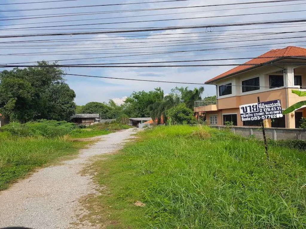 ขายที่ดินในอำเภอแม่ลาว ติดถนน เดินทางสะดวก ราคาขาย 3900000 บาท ราคาต่อรองได้