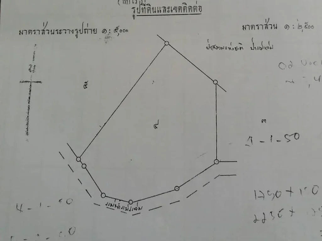 เหมาะสำหรับทำรีสอร์ท หรือทำกิจการสวนลำไยต่อก็ได้