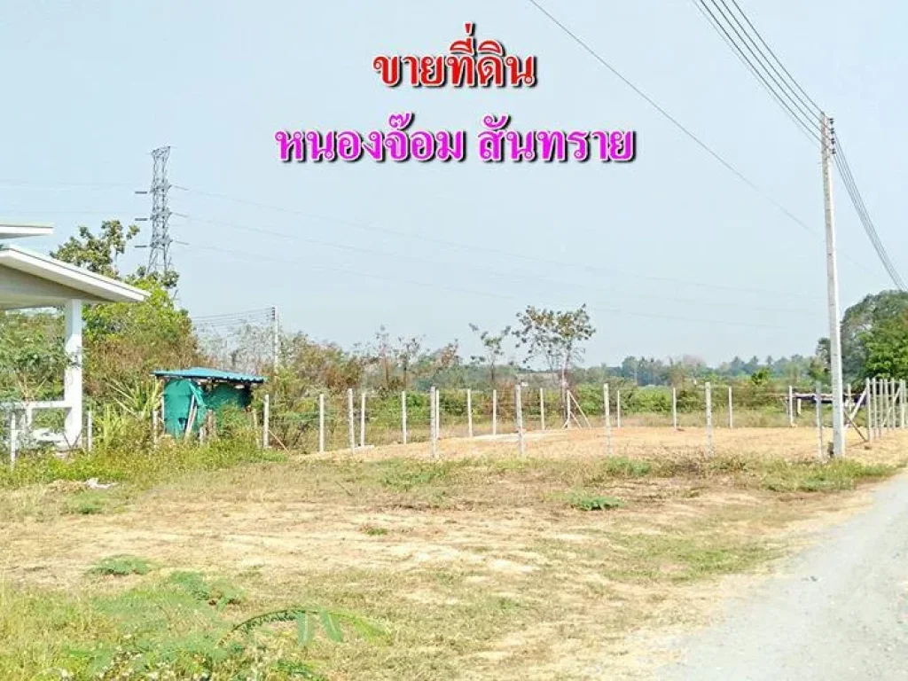 ขายที่ดิน 65 ตรว หนองจ๊อม สันทราย