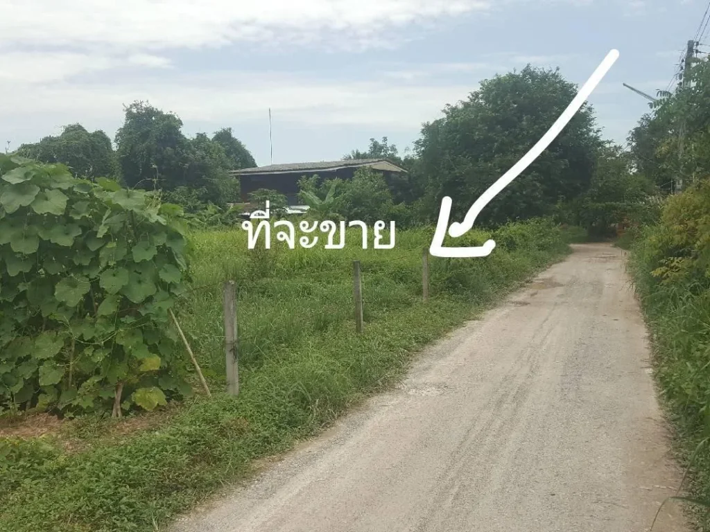 ขายที่ดิน 255ตรว อวิหารแดง จสระบุรี ใกล้สี่แยกวิหาแดง ขาย 450000