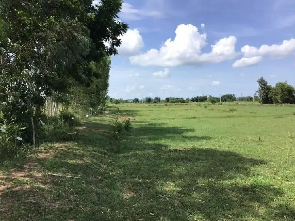  ที่ดินโฉนดแปลงเล็ก 2 ไร่ 300000 บาท ไร่ ดินดี ใกล้ชุมชน