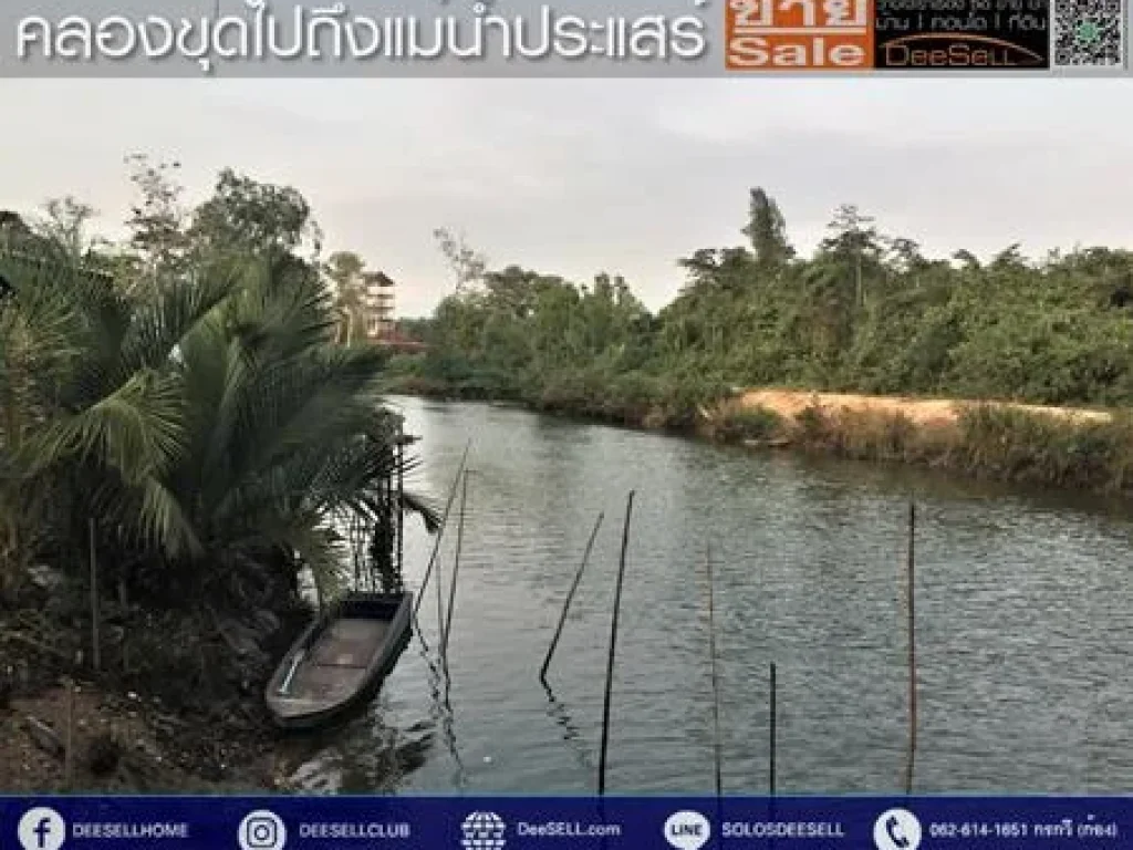 ขายที่ระยอง2773ตรว ถสุขุมวิท ทางเกวียน ซดอกมะกอก