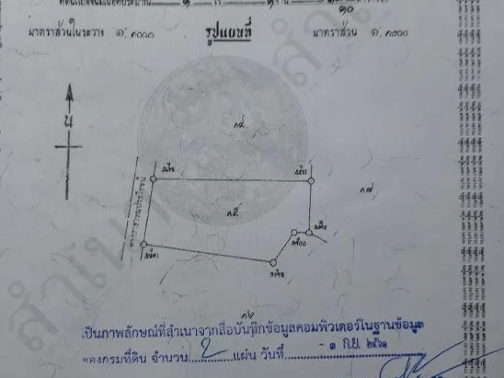 ขายถูก ที่ดินเปล่า 1 ไร่ 1 งานเศษ ราคาต่ำกว่าประเมิน ย่านคูเมืองประตูชัย อท่าวังทอง พะเยา