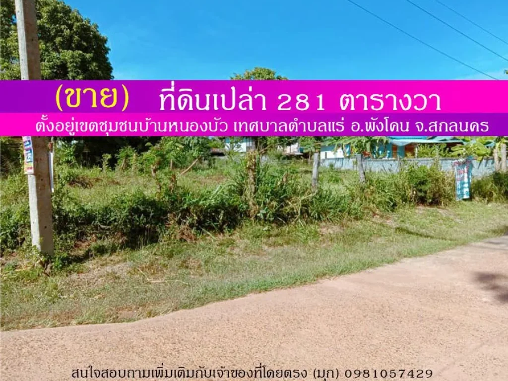 ขาย ที่ดิน 281 ตรว เขตชุมชนบ้านหนองบัว ตแร่ อพังโคน จสกลนคร