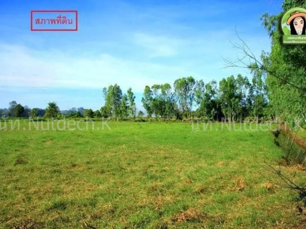 ที่ดินสำหรับการเกษตร ใกล้มอุบล