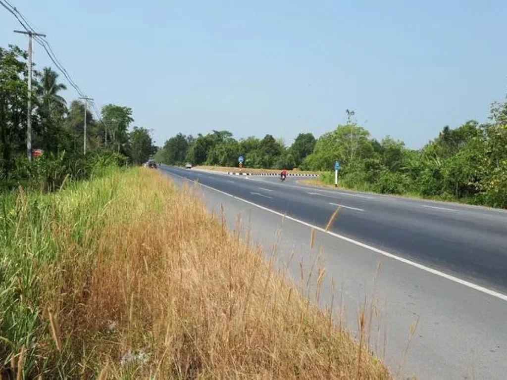 ขาย ที่ดิน ใกล้ทางหลวงสายกระบี่-กาญจนดิษฐ์ ถนนทางหลวง 401 อกาญจนดิษฐ์ จสุราษฎร์ธานี