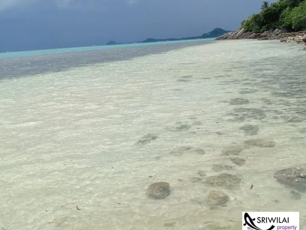 ขายที่ดิน24ไร่ ติดทะเลชายหาดพร้อมซีวิวหมู่เกาะน้อยใหญ่ในทะเลอ่าวไทยเกาะสมุย และวิวพระอาทิต ตก