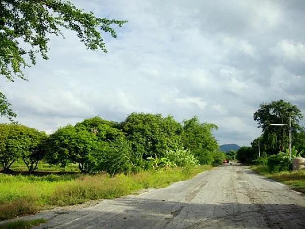 ขายที่ดินโฉนด7ไร่ ติดถนนลาดยางมีเพื่อนบ้านไฟฟ้าประปาพร้อม อโคกสำโรง จลพบุรี