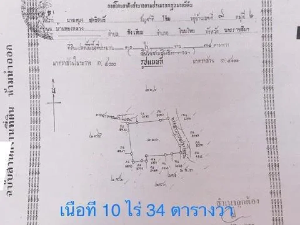 ขายถูก ที่ดิน ตพังเทียม อพระทองคำโนนไทย จนครราชสีมา