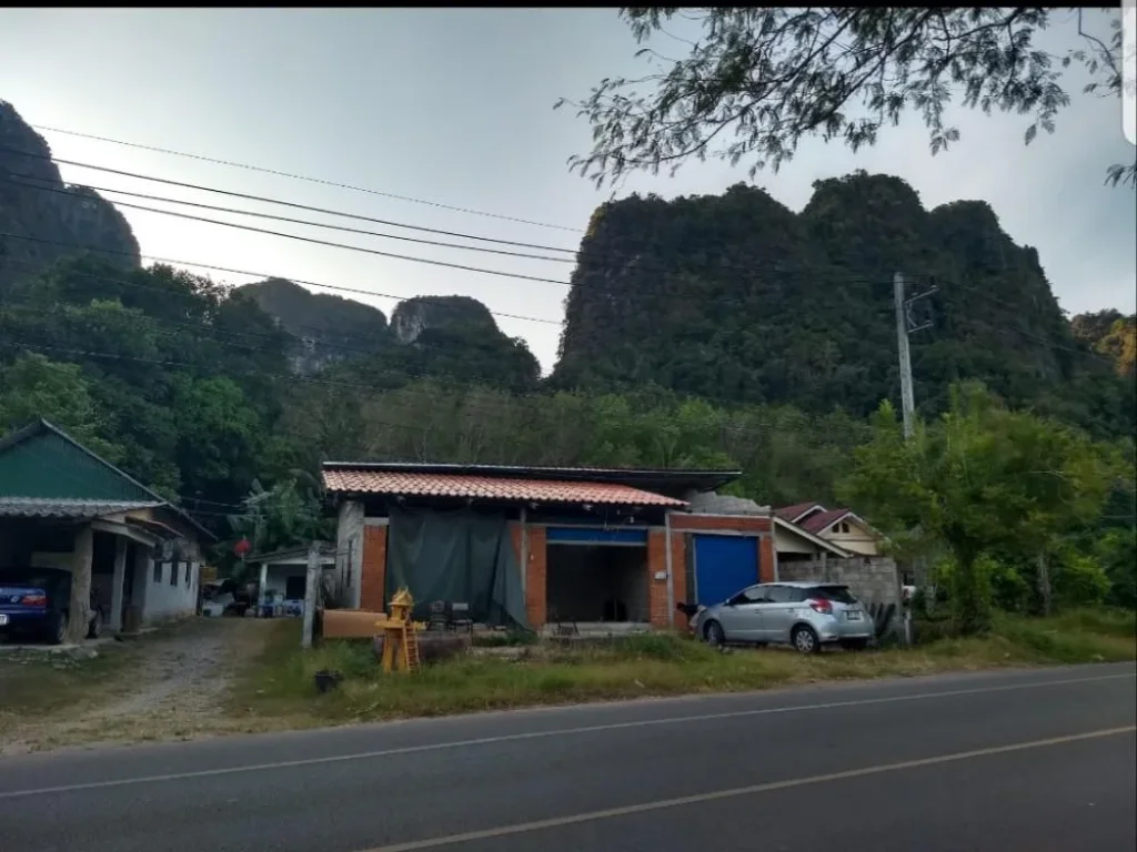 ที่ดินติดถนนดำ หน้าวัดถ้ำเสือ