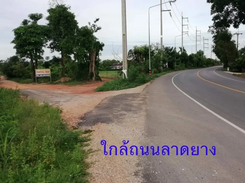 ขายที่ดินใกล้แม่น้ำปิงและตลาดสดท่าพุทรา