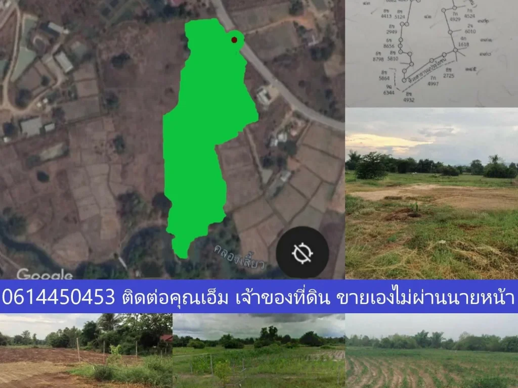 ขายที่ดิน 11 ไร่ 1งาน 59 ที่เชียงคาน จังหวัดเลย ติดถนนลาดยาง น้ำไม่ท่วม