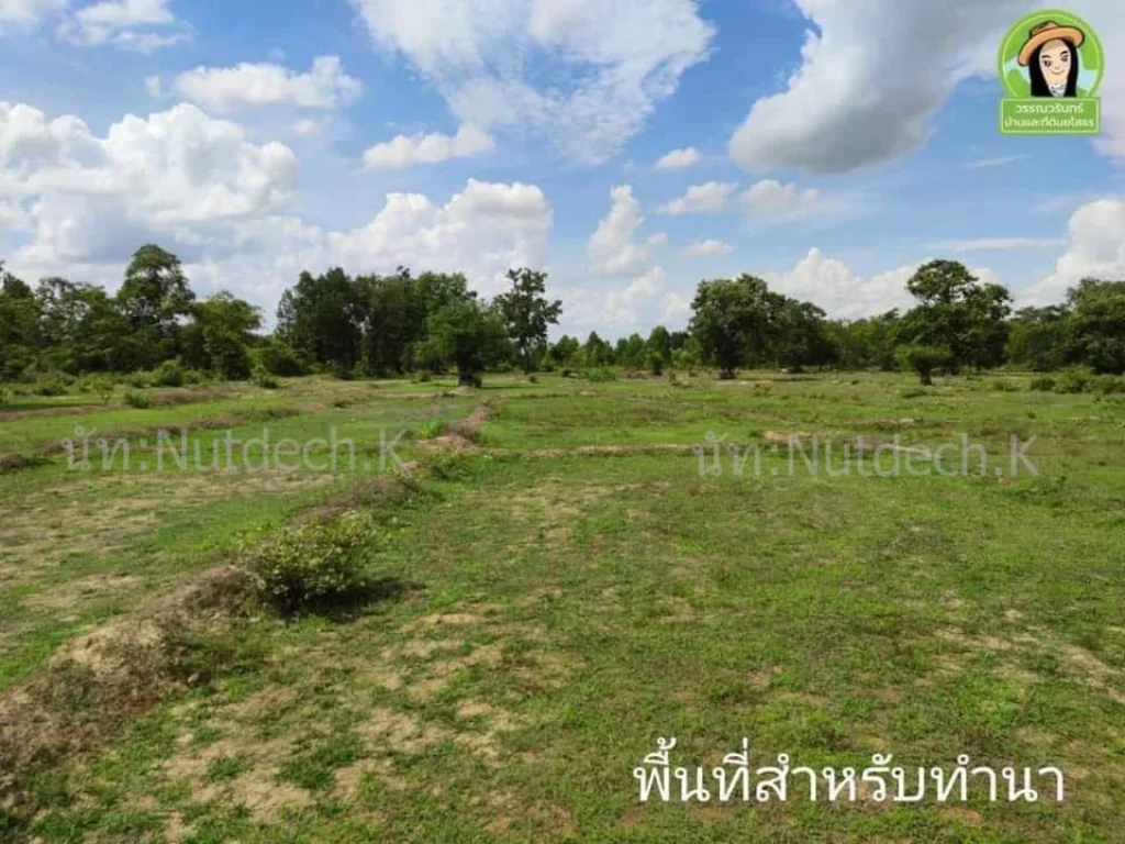 ที่นาพร้อมพื้นที่ทำไร่และพื้นที่ ป่า แปลงสวย