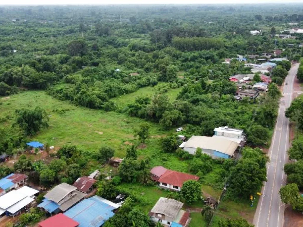 ขายที่ดิน 11 ไร่ บ้านขอนขว้าง ตดงขี้เหล็ก อเมืองปราจีนบุรี