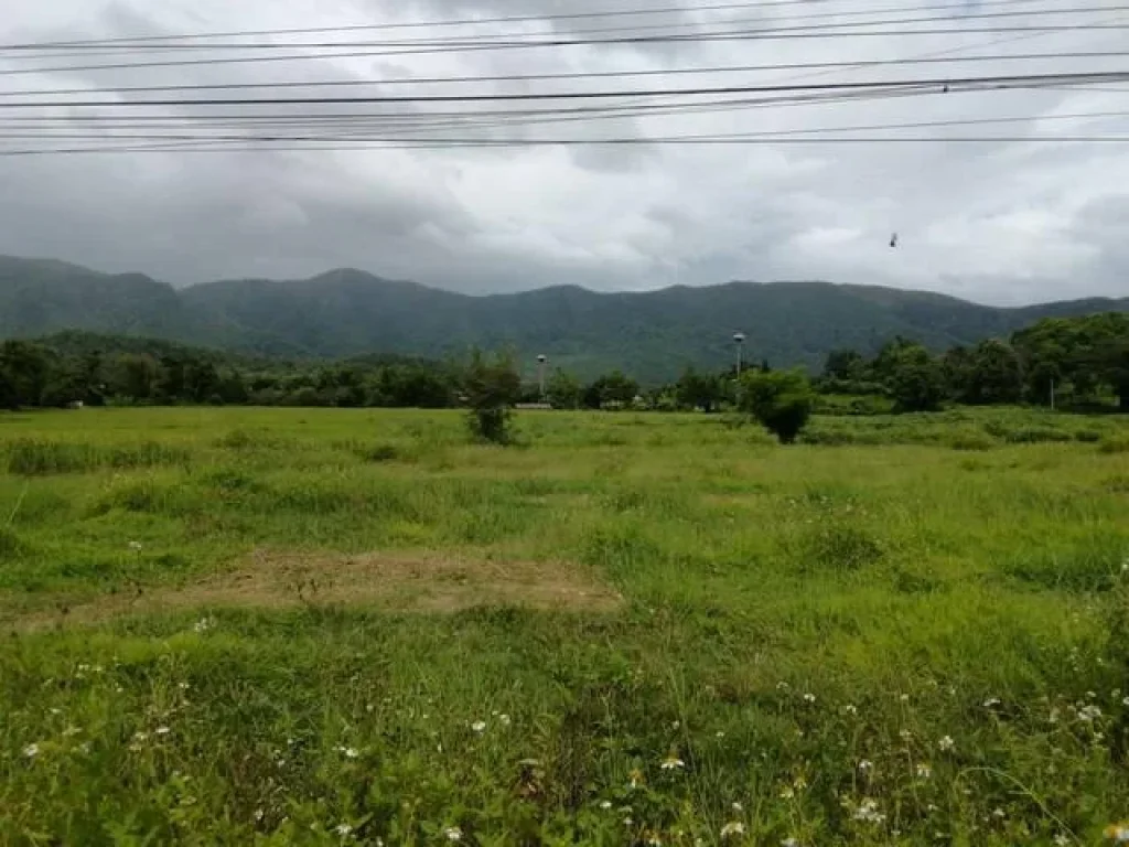 ขายที่ดินแปลงงาม วิวเขา ติดถนนราดยาง อแม่ออน