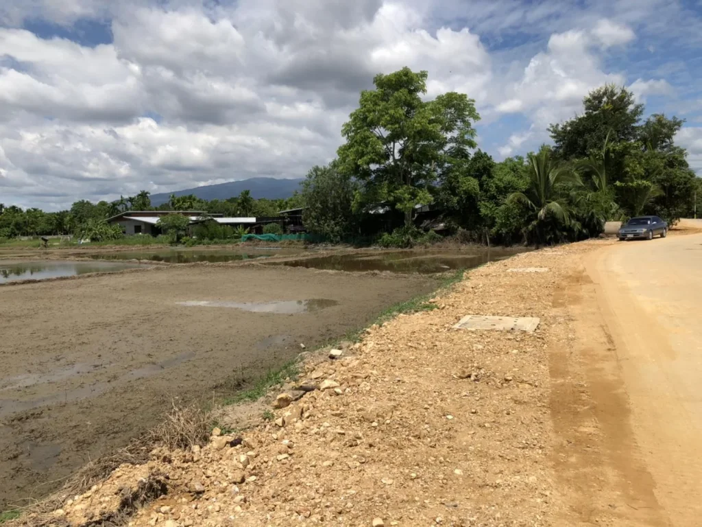 ขายที่ดินเขตเทศบาลหนองจ๊อม เหมาะกับจัดสรร