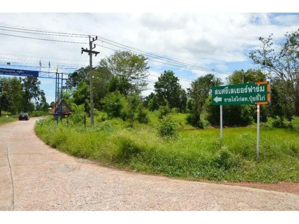 ขายที่ดินติดถนนทางหลวง 229 ขอนแก่น-แก้งคร้อ ชัยภูมิ ที่ดินติดถนน2ด้าน