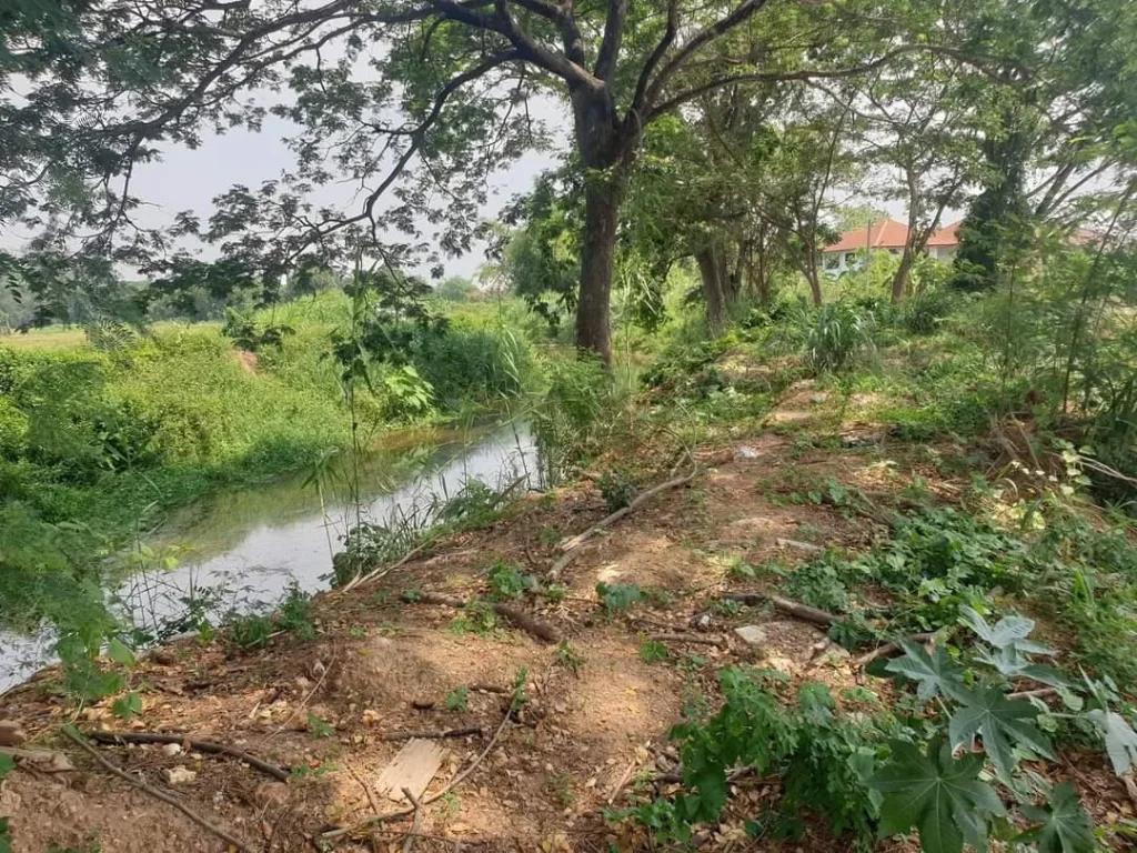 ขายที่ดินดอยสะเก็ต ในจัดสรรเก่า ราคาถูก