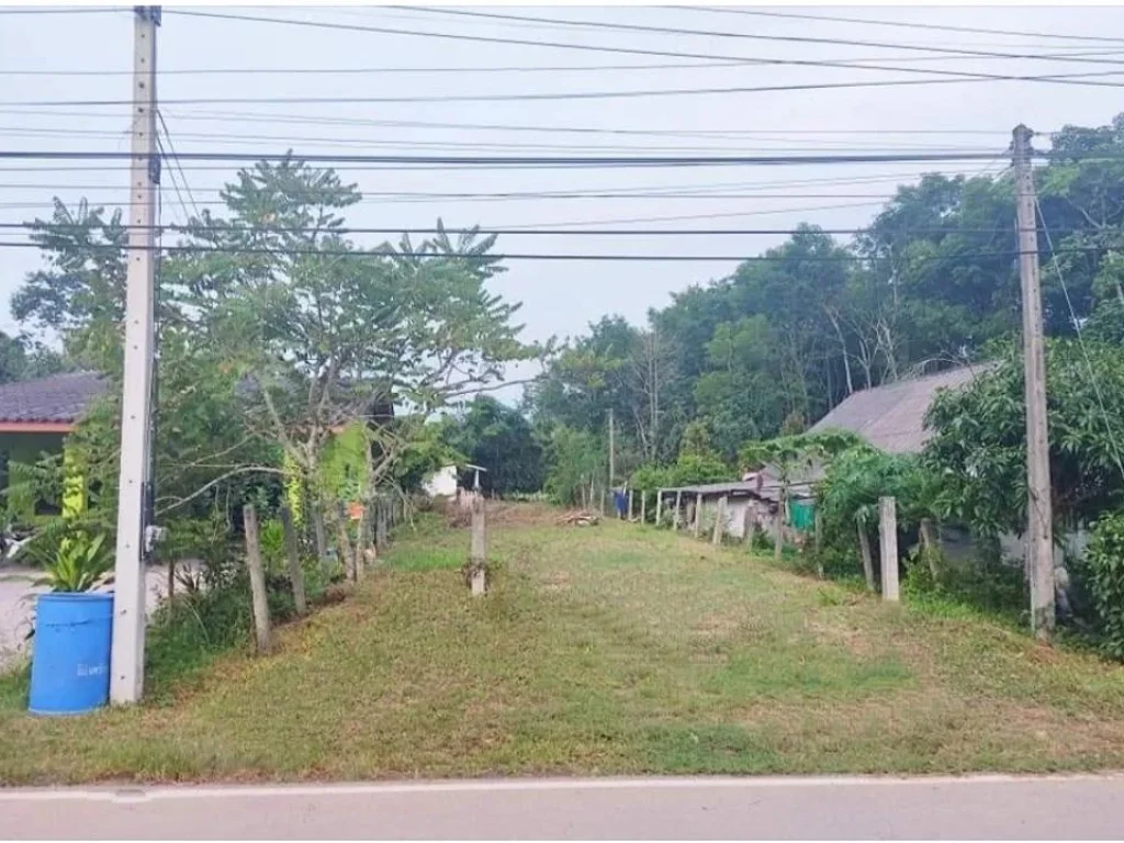 ที่ดินราคาถูก บรรยากาศดี น้ำไฟพร้อม