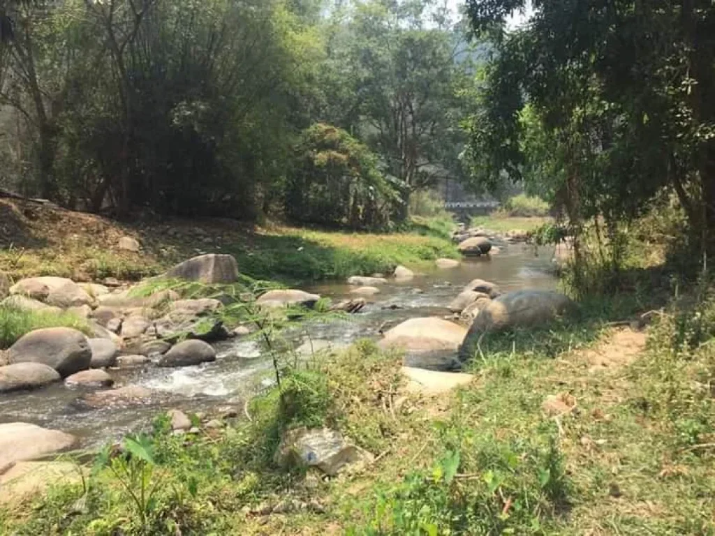 ขายที่ดินติดลำน้ำติดถนนดอยสะเก็ต ติดเขาราคาถูก