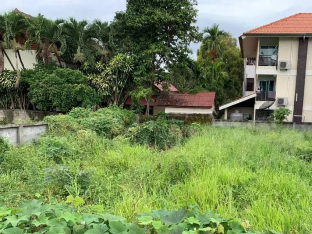 ขายที่ดินติดถนนสันติธรรม ล้อมรั้วเรียบร้อย