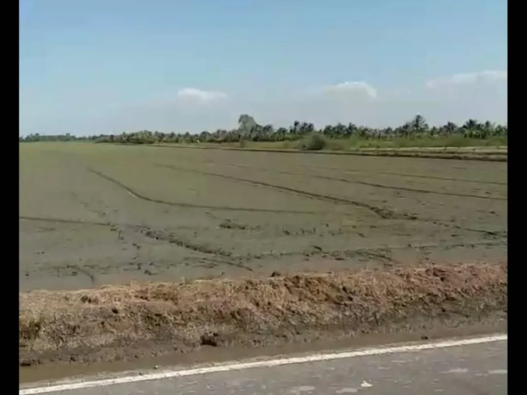 ที่ดินคลอง 14 บางน้ำเปรี้ยว 45 ไร่ ติดถนนดำ ไม่แพงจ้า เชิญครับ