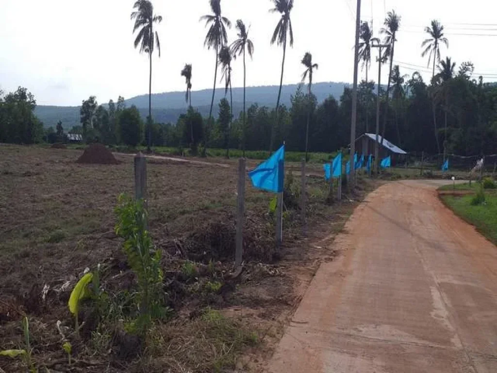 ขายที่ดินเปล่า ถมสวย วิวเขา 200 ตรวา ใกล้ตลาด วังทอง พิษณุโลก