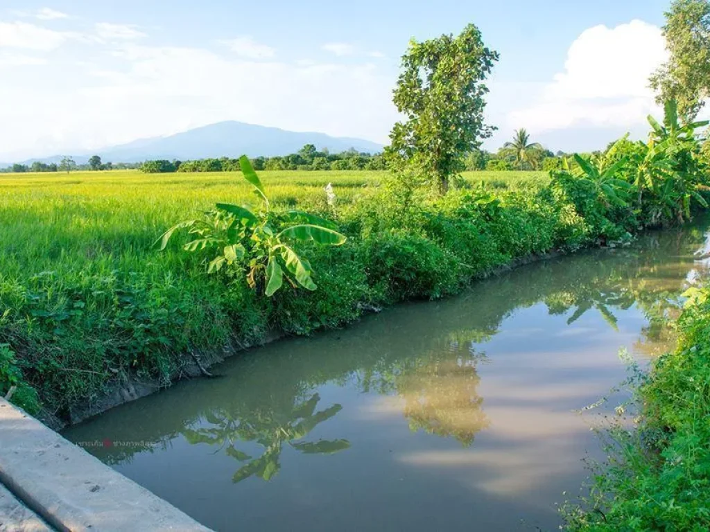 ที่ดินหางดงวิวดอยสุเทพสวยงามมาก โฉนด 6 ไร่ ใกล้น้ำปิงเหมาะทำบ้านฟาร์มเสตย์ 18 กมเชียงใหม่