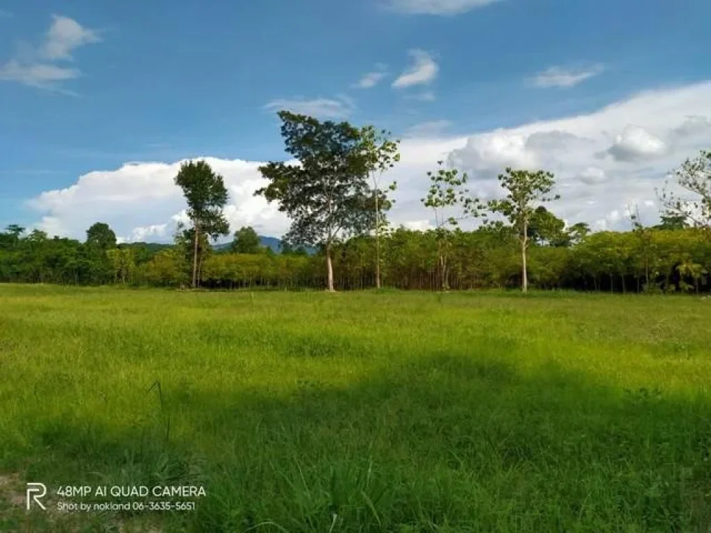 แบ่งขายที่วิวเขา รูปที่สวย แก่งคอย สระบุรี