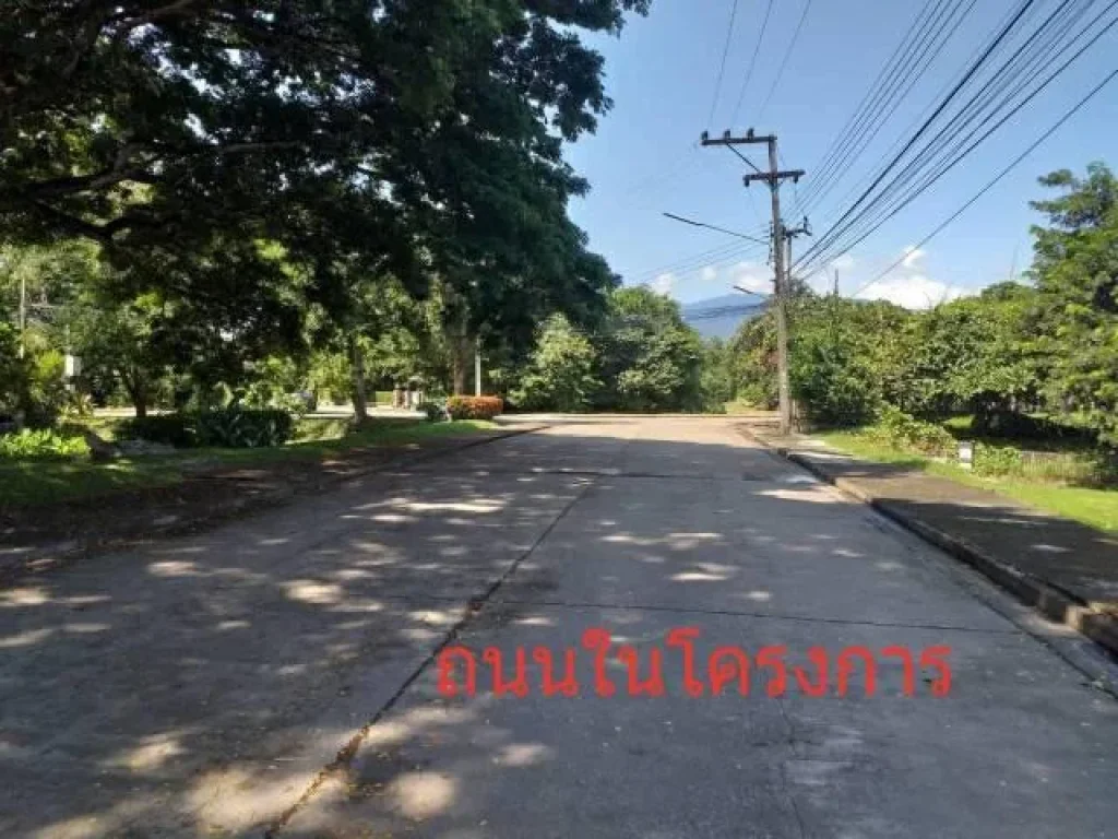 ฿ขายที่ดินในเขตอเมือง136137ตรว2แปลงติดกัน อยู่ในหมู่บ้านเลควิวล์พาร์ค2แลนด์ampเฮ้าส์ สันผีเสื้อ ขายถูกที่สุด